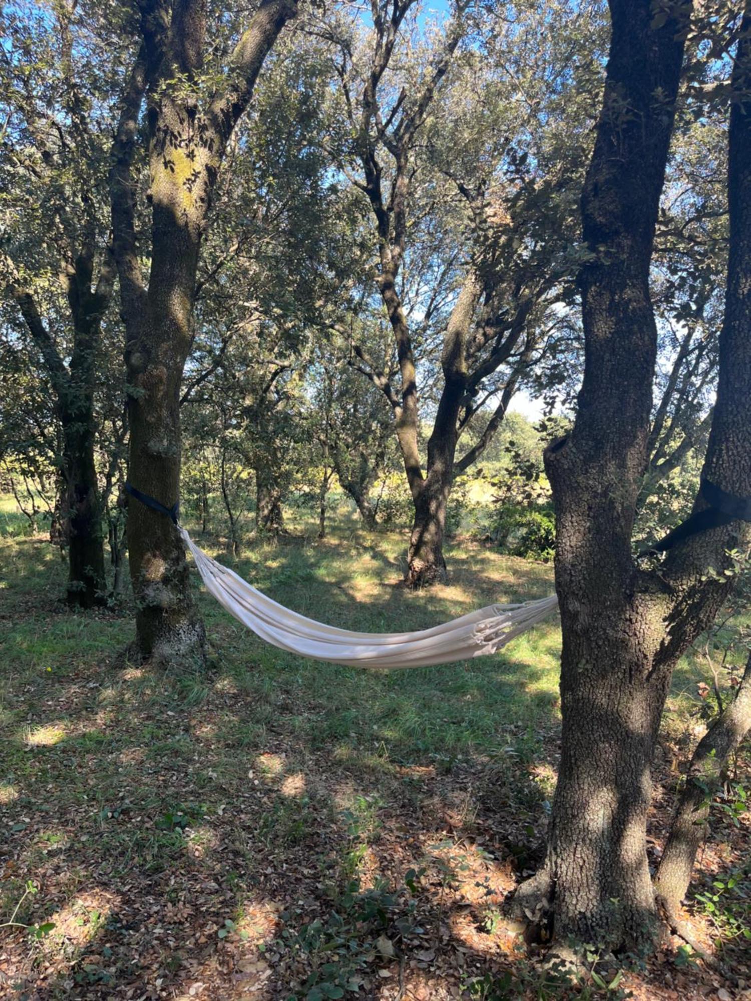 Casa vacanze Maisonnette Avec Petite Foret Valréas